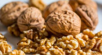 Noci sempre croccanti: i trucchi per una conservazione perfetta