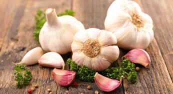 Come conservare l’aglio per prolungare la sua freschezza e mantenere il suo aroma